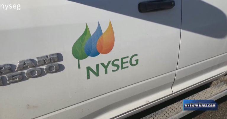 nyseg