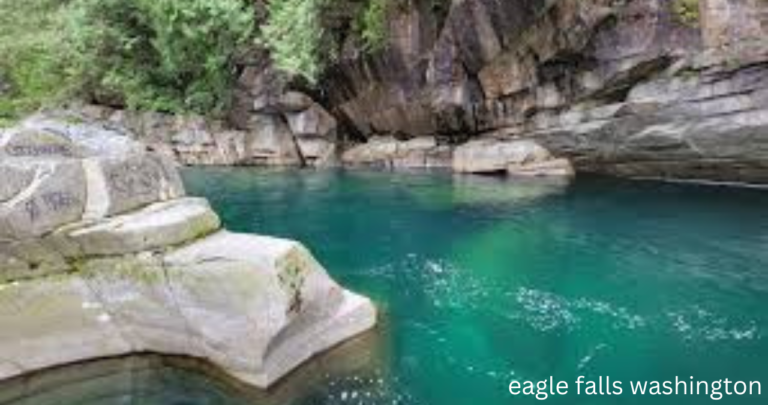 eagle falls washington